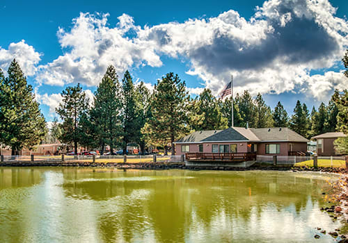 The Pines property